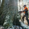 PictureAltAttribute - stihl-ms-661-c-m-w-benzine-kettingzaag-keizers-nu-3-jpg